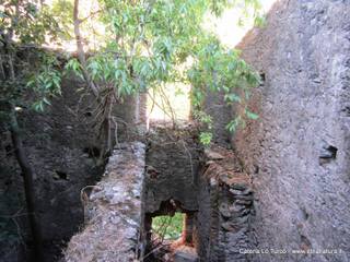 stoleone-31-08-2015 09-08-25